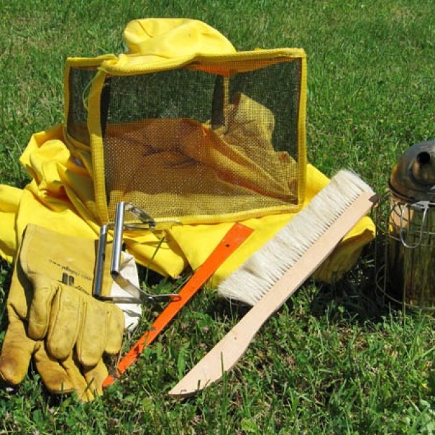 Gli strumenti minimi e i relativi costi per iniziare a fare apicoltura